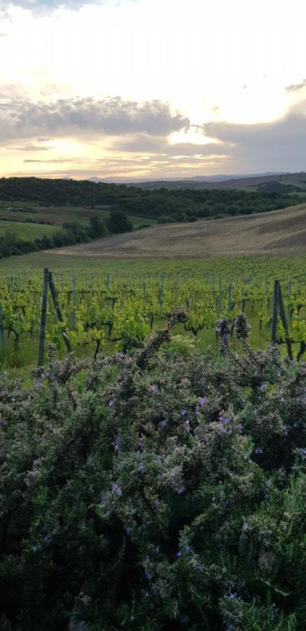 Agriturismo Bagnaia San Quirico dʼOrcia Exterior foto