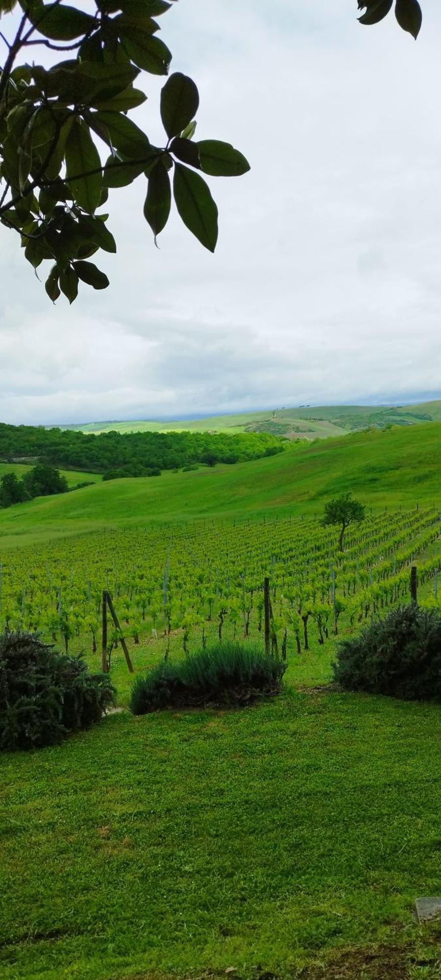 Agriturismo Bagnaia San Quirico dʼOrcia Exterior foto