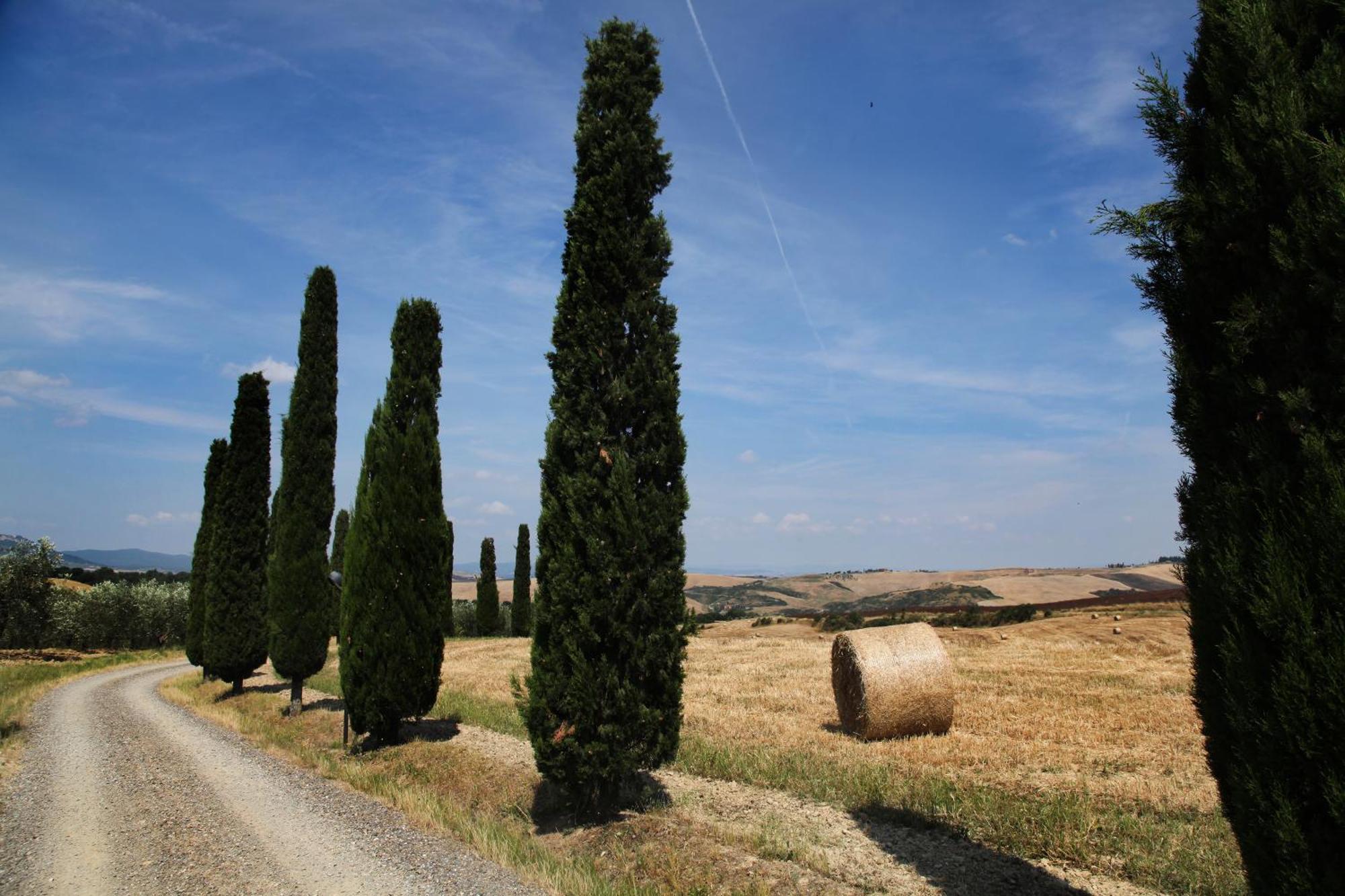 Agriturismo Bagnaia San Quirico dʼOrcia Exterior foto