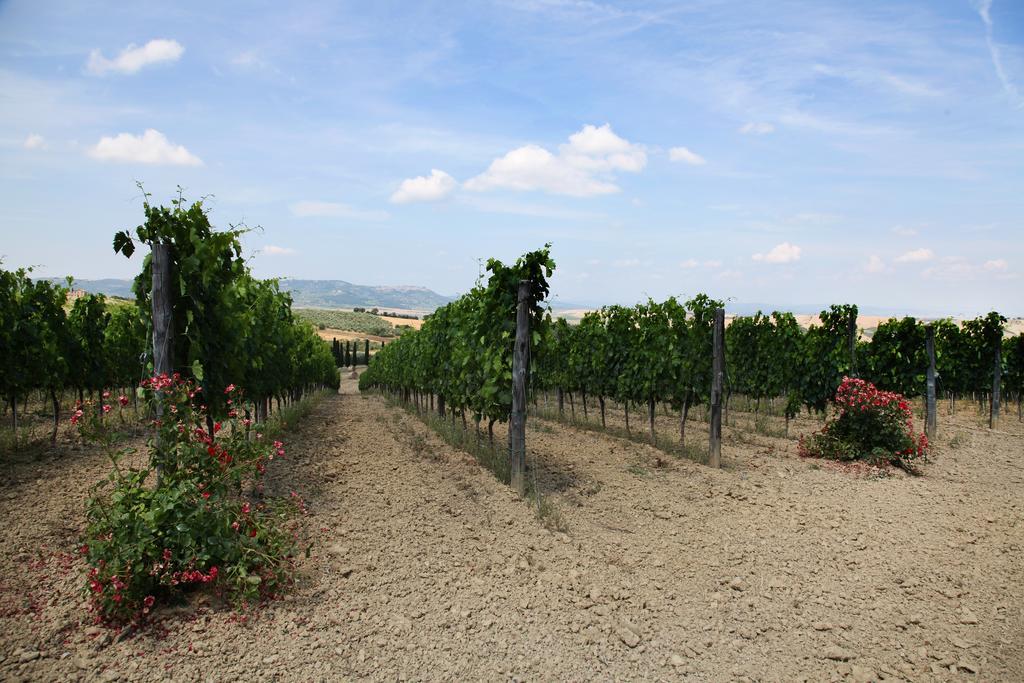 Agriturismo Bagnaia San Quirico dʼOrcia Exterior foto