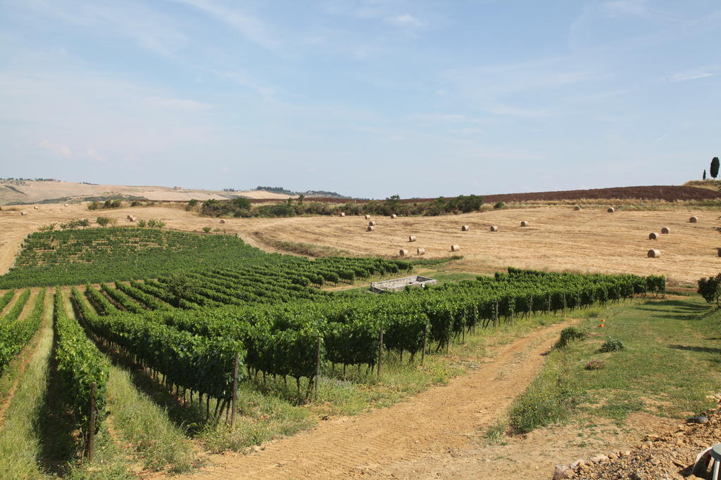 Agriturismo Bagnaia San Quirico dʼOrcia Exterior foto