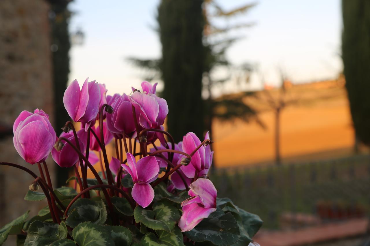 Agriturismo Bagnaia San Quirico dʼOrcia Exterior foto